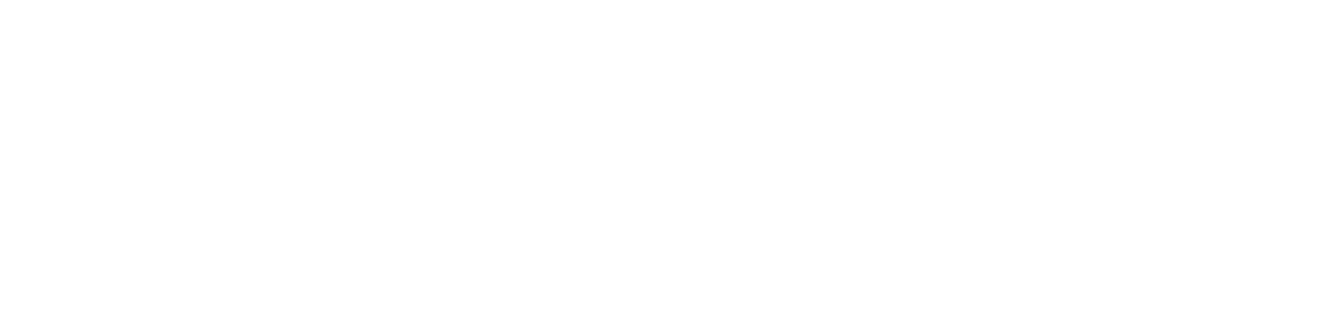 MegaMex Foods logo