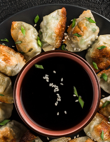 Birria dumplings