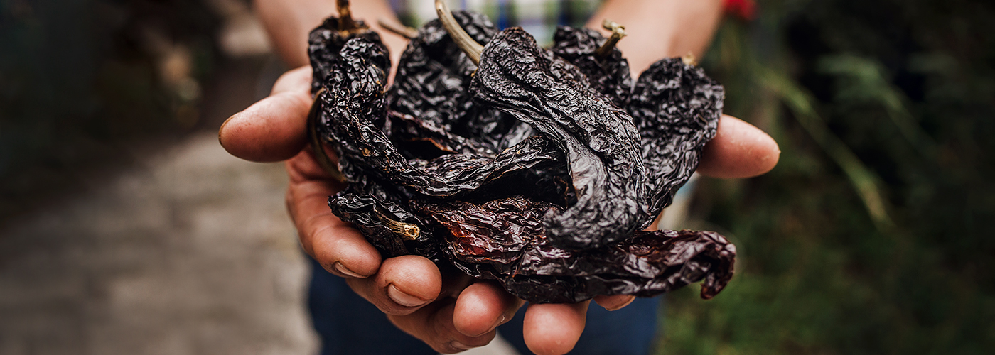 ancho + pasilla peppers