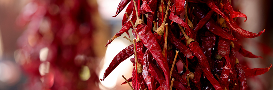 The MegaMex Foods Guide To Fresh And Dried Chiles